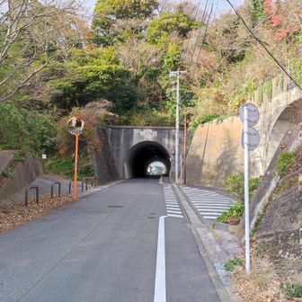 ハイキングコースの終点。

トンネルのT字路とは珍しい。