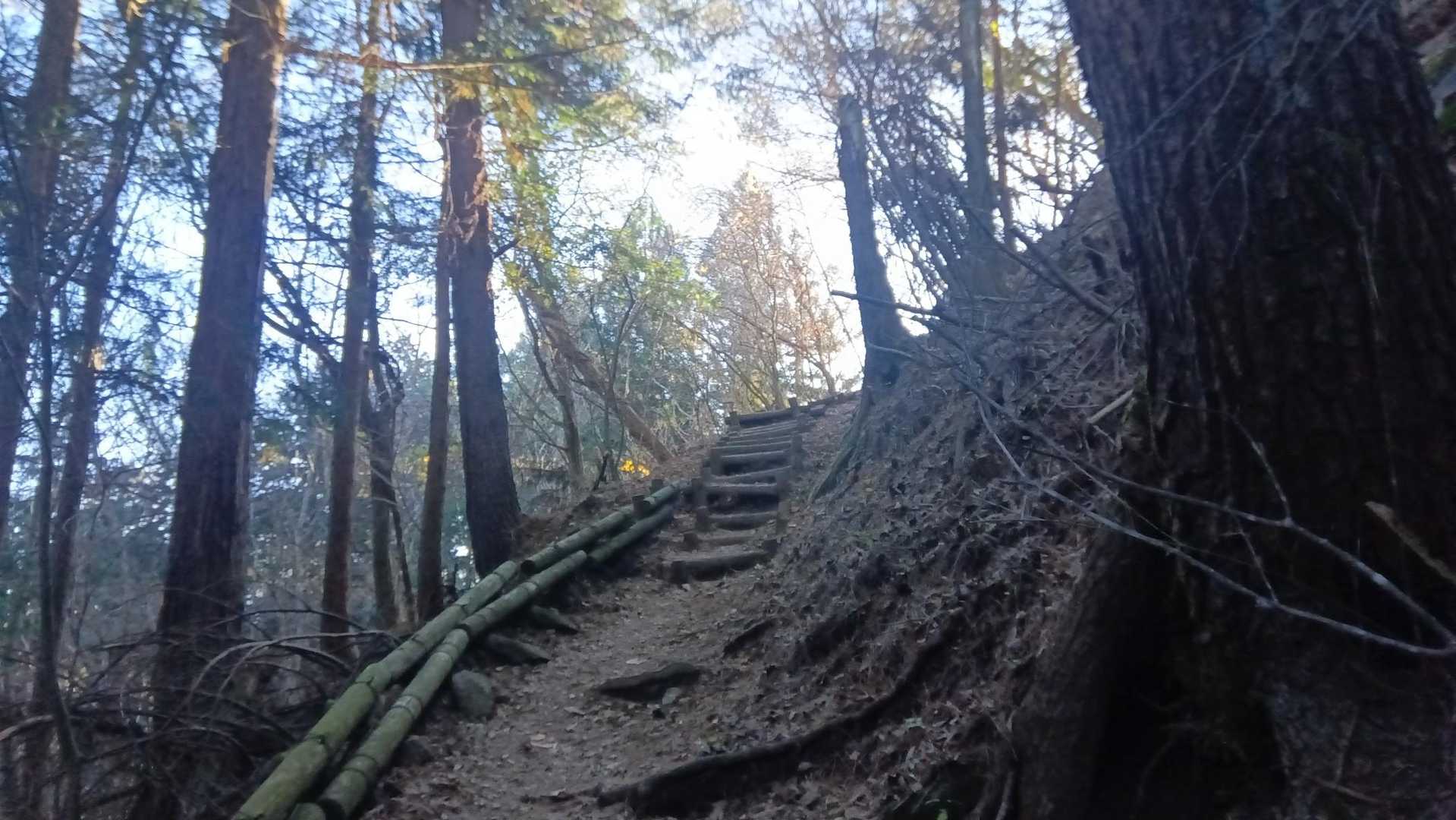 最初は急な階段が続きます。
