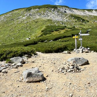 双六岳は帰りでいいか
登るとお昼食べるのが遅くなってしまう。（登山者として、景色より食い気いいのか）