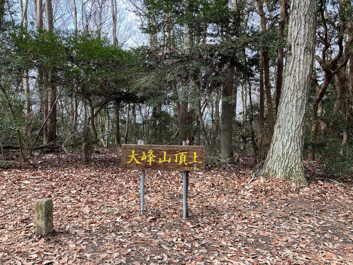 一つ目の頂上トウチャコ🏔️
展望はありません