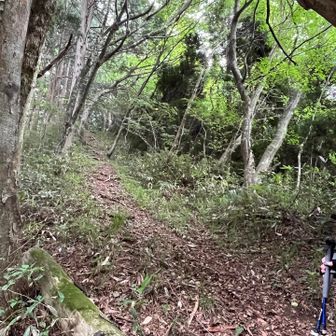 写真では伝わらない📸
80°傾斜(私の想像🤭)