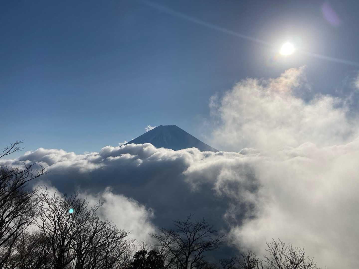 富士山🗻