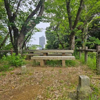 グレィ・ピーク　観音山⛰️
さすがに　市街地の中の、山
ちゃんと、道は 有りました　🤗

家作りには
創意と、工夫
日々の生活が
ロマンが
夢と  希望  が
人生設計が そして
人生　そのもの　が

詰まって　いることに　気が付いて　🤗
