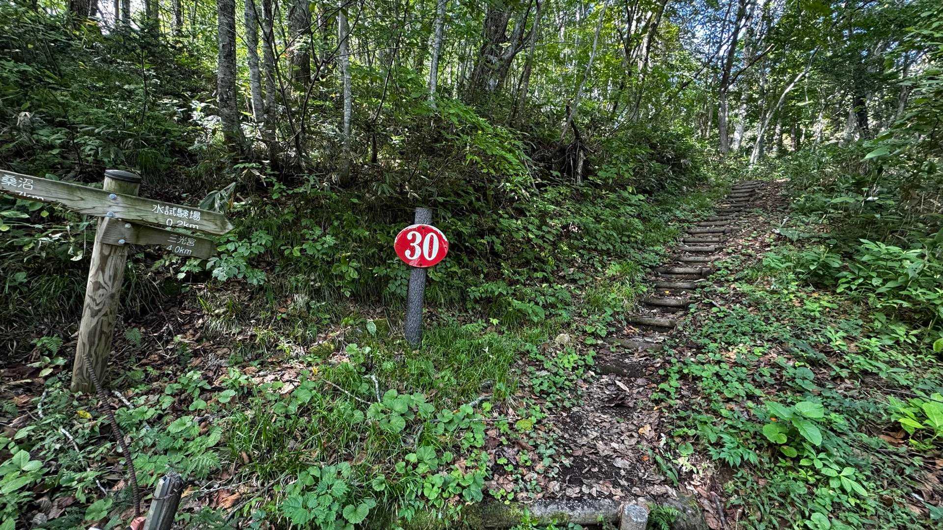 一人で黙々と下山。
ソロの下山は暇だわ。