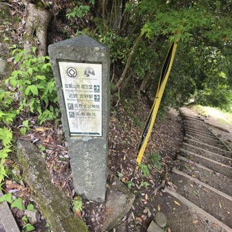 ここから舗装道路をショートカット
