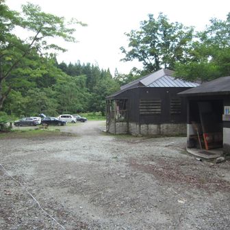 戻ってきました
