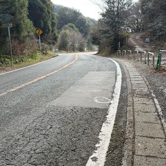三瀬峠から国道263号線を下ってしまったが、ここから右の林道に進めば、旧三瀬街道が一部残っていたかもしれない。
