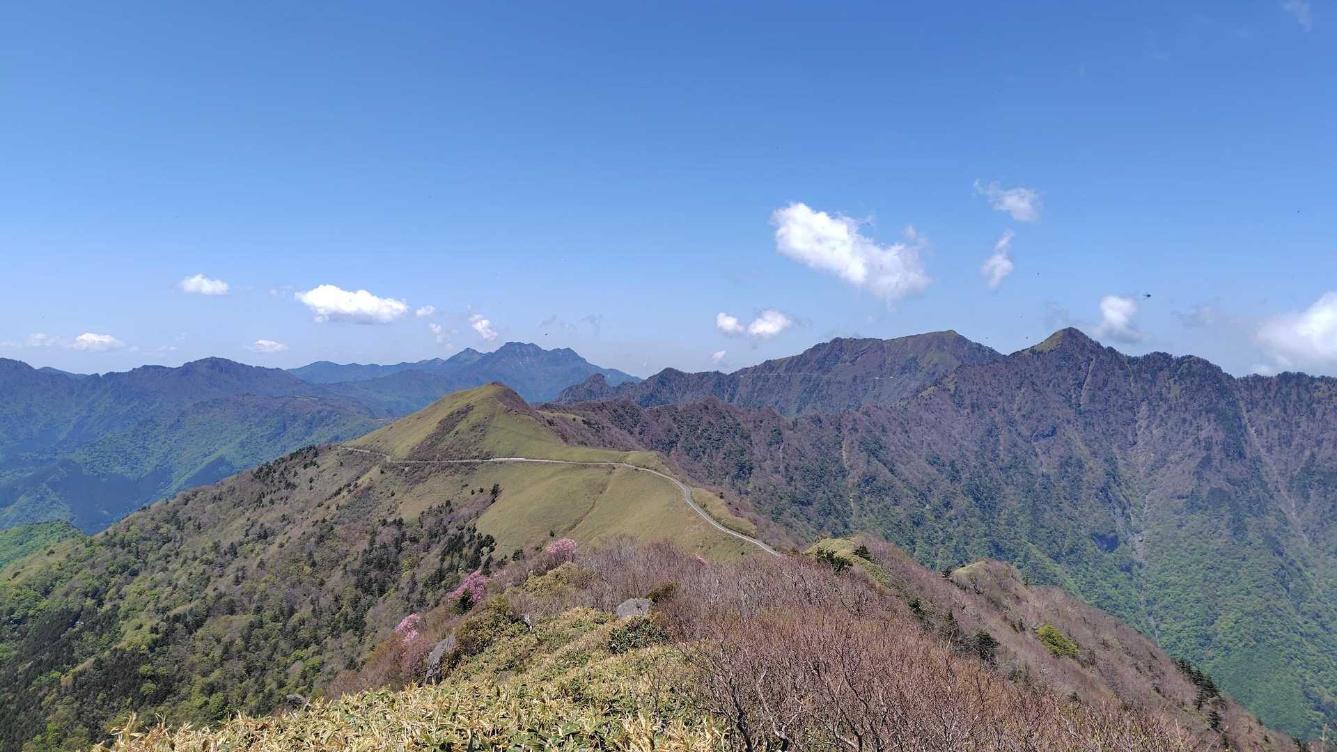 東黒森登山口-伊予富士-東黒森-自念子ノ頭 周回コースの写真