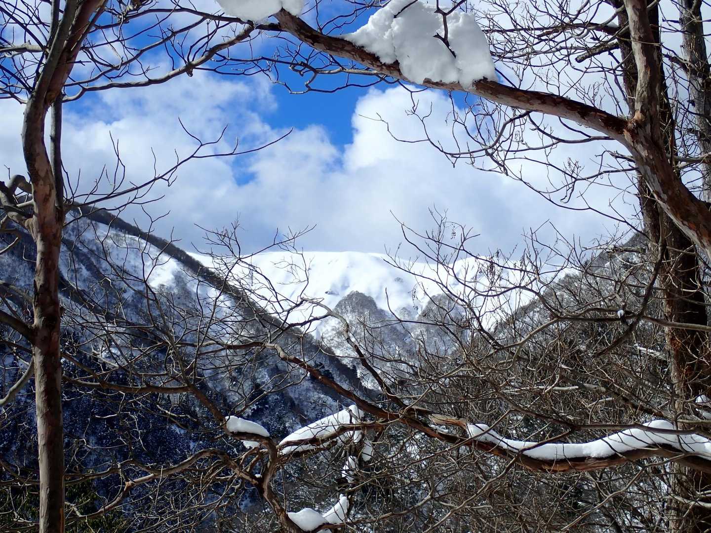 仕方ないです。美しい雪稜が見られて良しとします😁👍