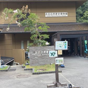 ここの入園料は無料でした