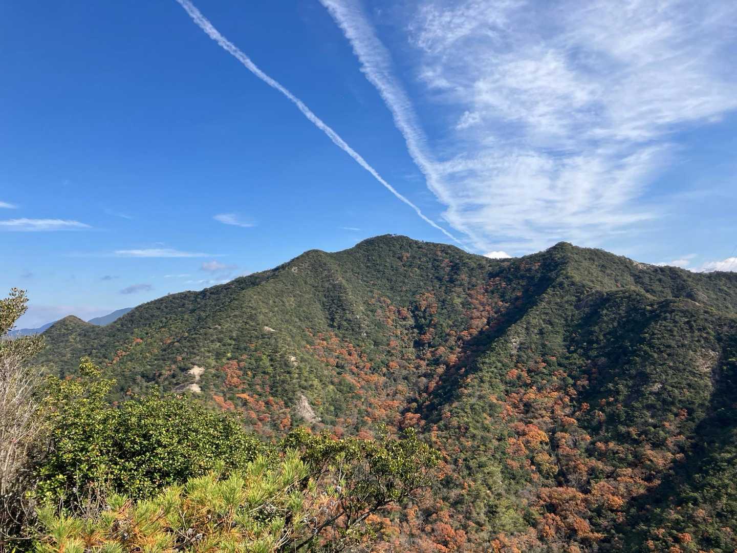 下りの途中からの大坂山
見上げると✈️