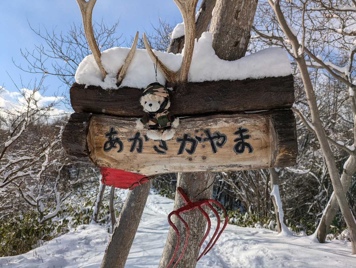赤坂山山頂！