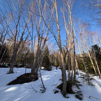 だいぶ日が傾いてきてるけど、青空です♪