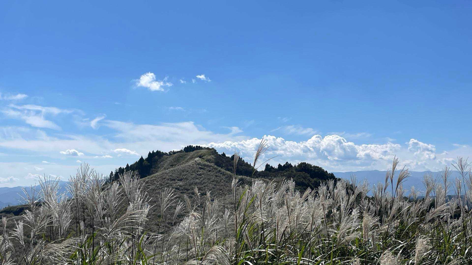 黒岩峠-清栄山-宮地嶽 往復コースの写真
