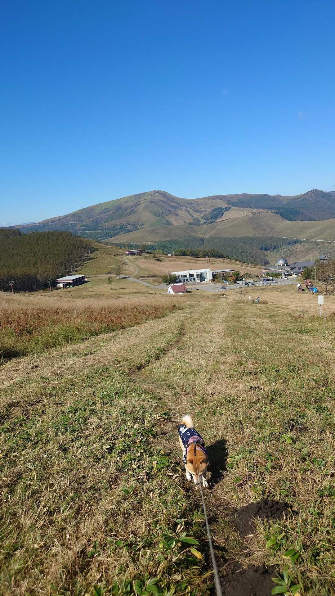 おお、車山高原がめちゃきれい。今日も人多いんだろうなぁ