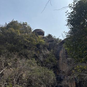 🐿️がいたけど、、、写真は間に合わなかった💦