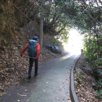 ルンルンで歩くワタシ🎶
（でも、膝結構キてました）