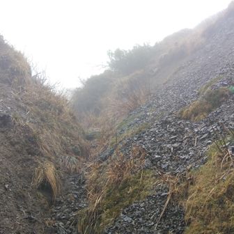 小女郎峠の降り口

以前から斜面が崩れていたけど年々酷くなってます。
稜線上の笹の丈も年々低くなっている気がします、米原市にある霊仙山の様にはげ山になっちゃうでしょうかね。