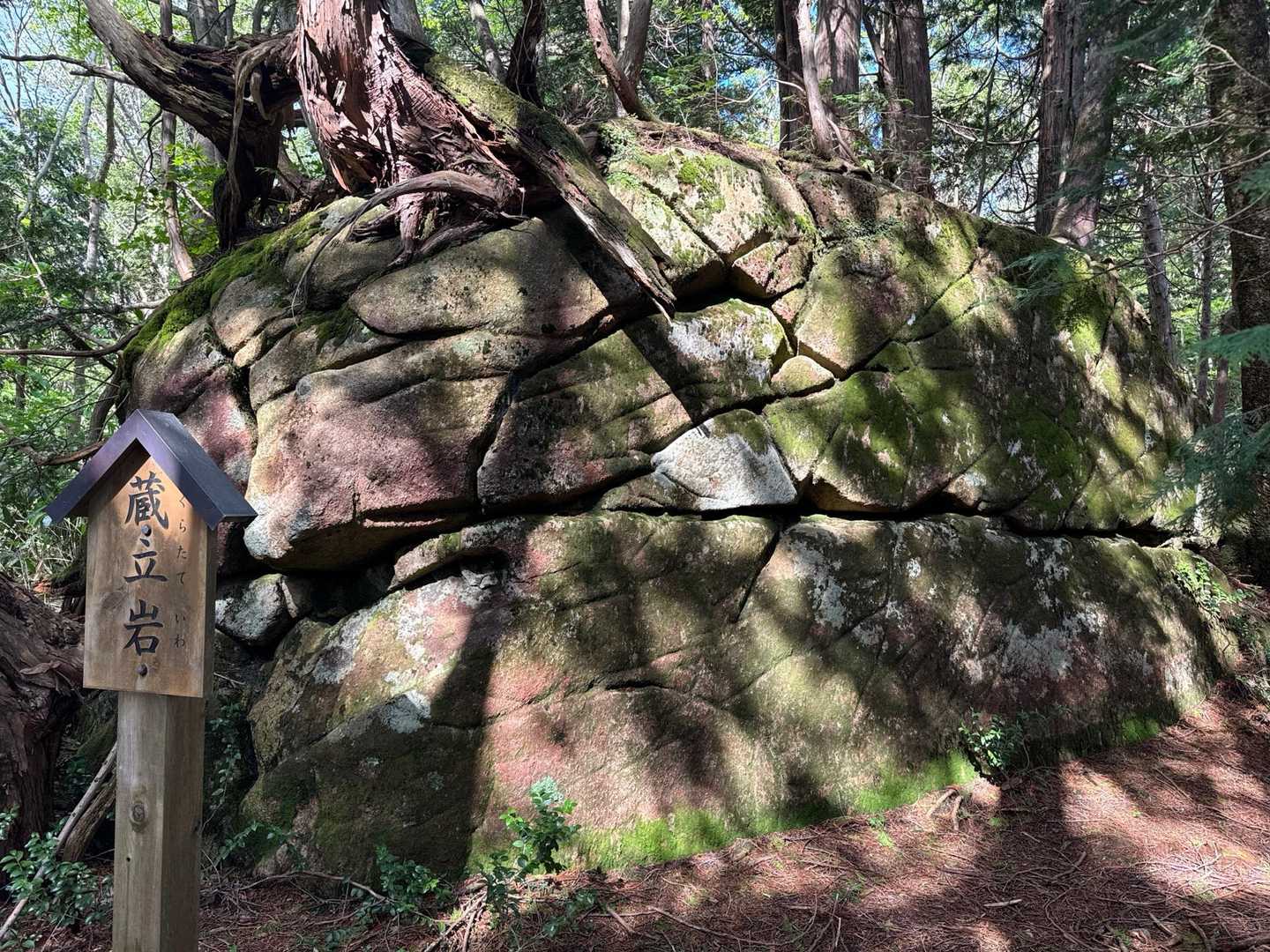 ロキソニンテープで痛みをやり過ごし何とか位山を通過。下山までもう一踏ん張りです。とにかく今日は疲れました。お疲れ様でした。