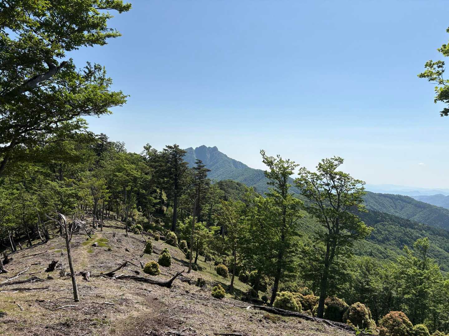 ギザギザが近くなってきた〜