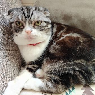 ゼクス