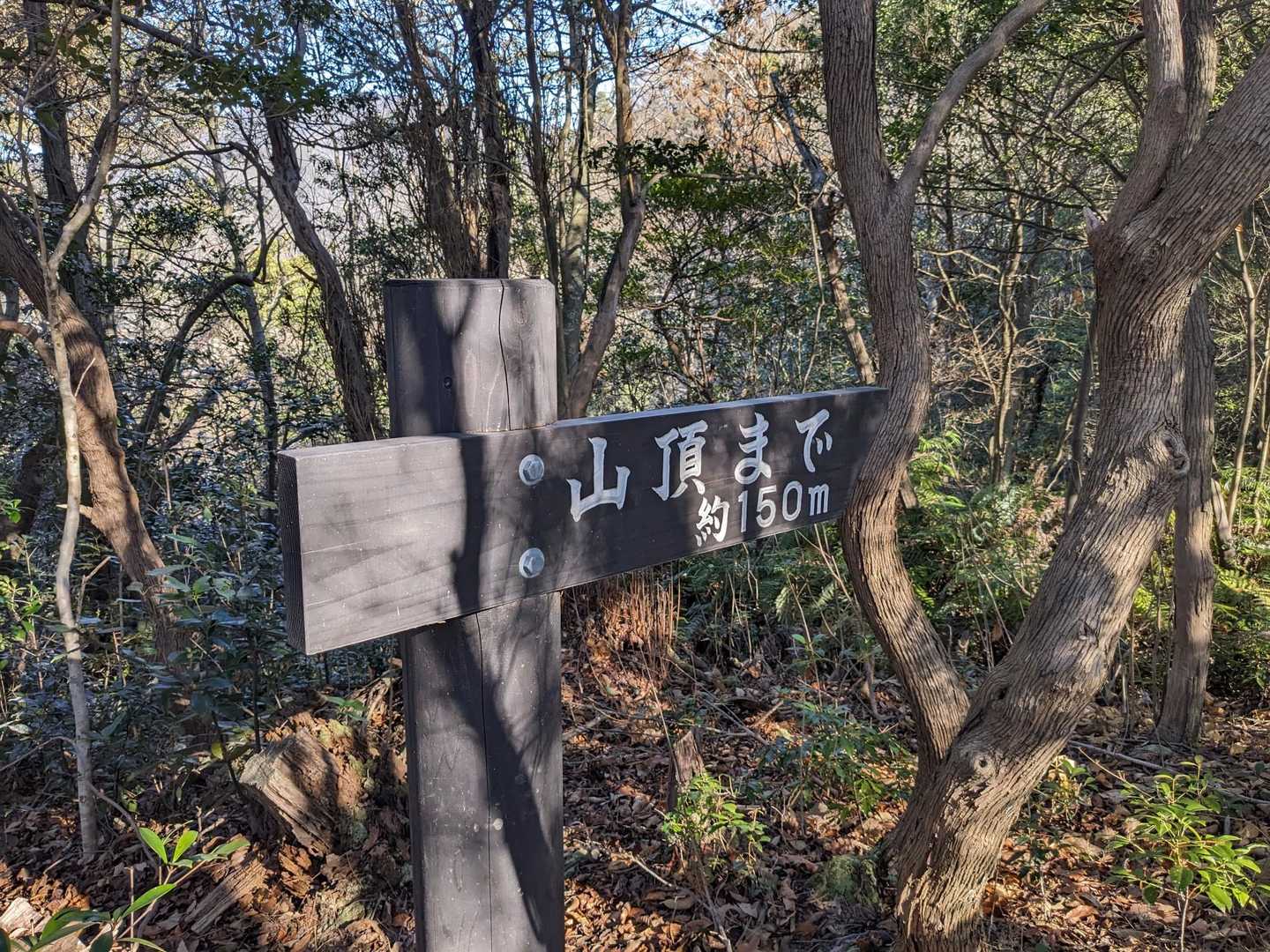 そろそろラストか。