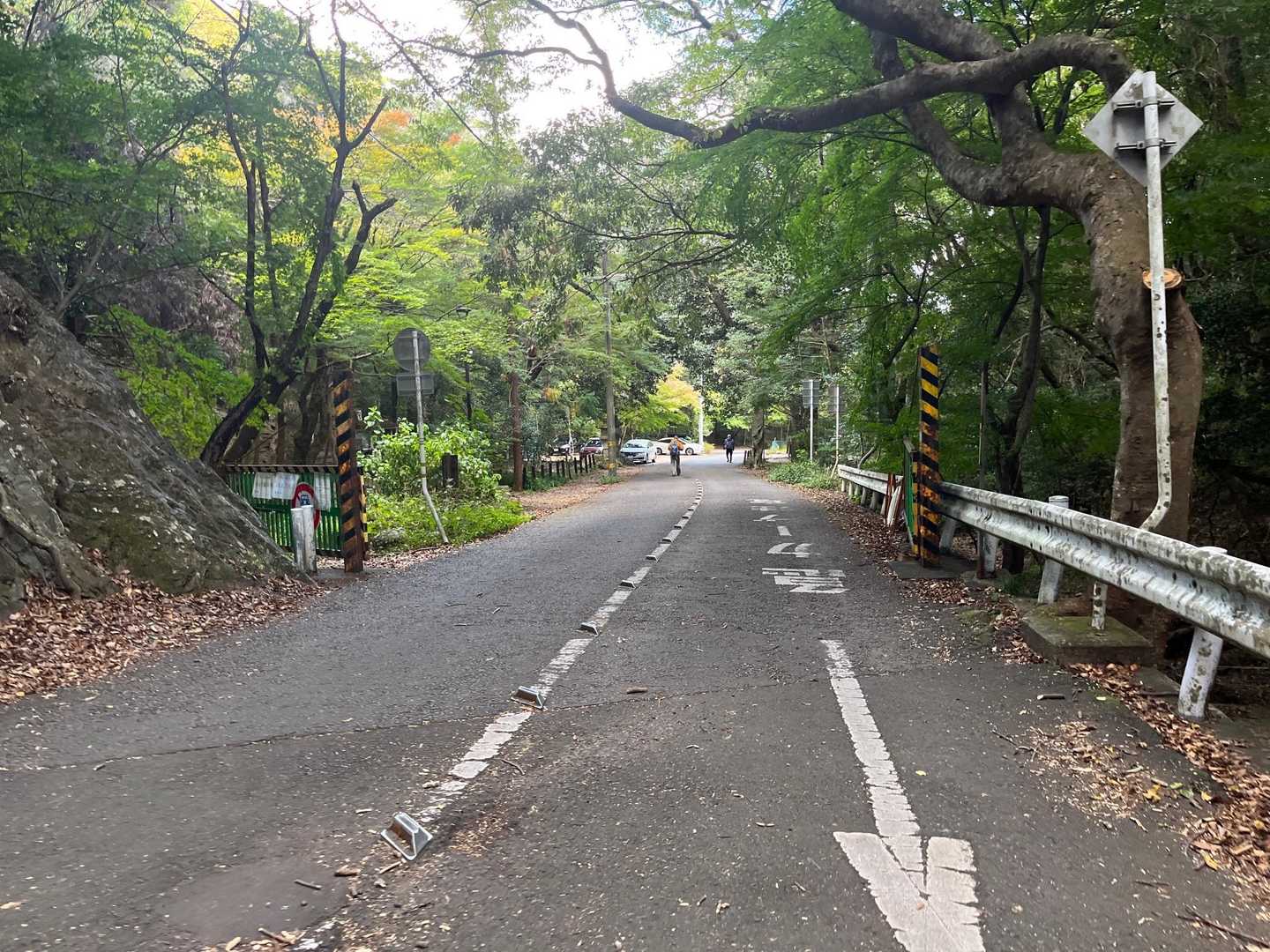 けどおかわり登山は無理なので帰ろぉ〜☺️