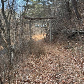 周回して参道口に着きました〜🏁