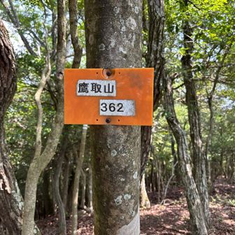 高取山登頂。ここで少し休憩