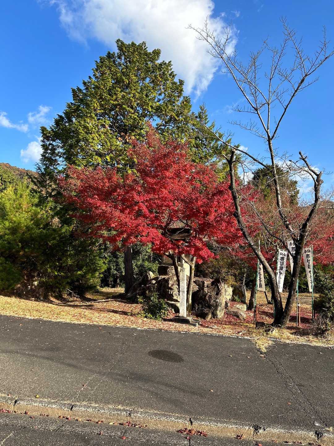 大谷山-滝谷山-雁又山 往復コースの写真