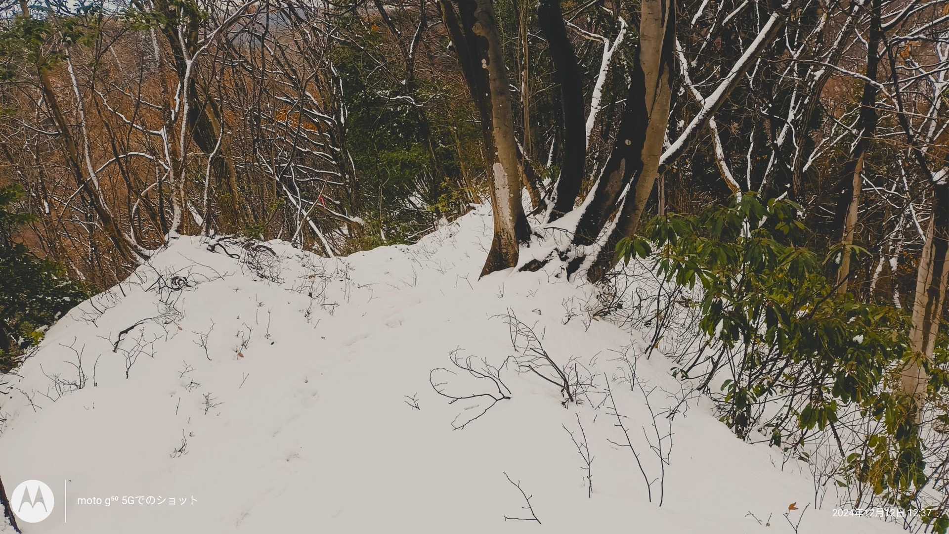 ふかふかした雪なので滑る事は少ない。
これが凍ったら危ないとは思う。