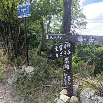 指が入ってしもた💧