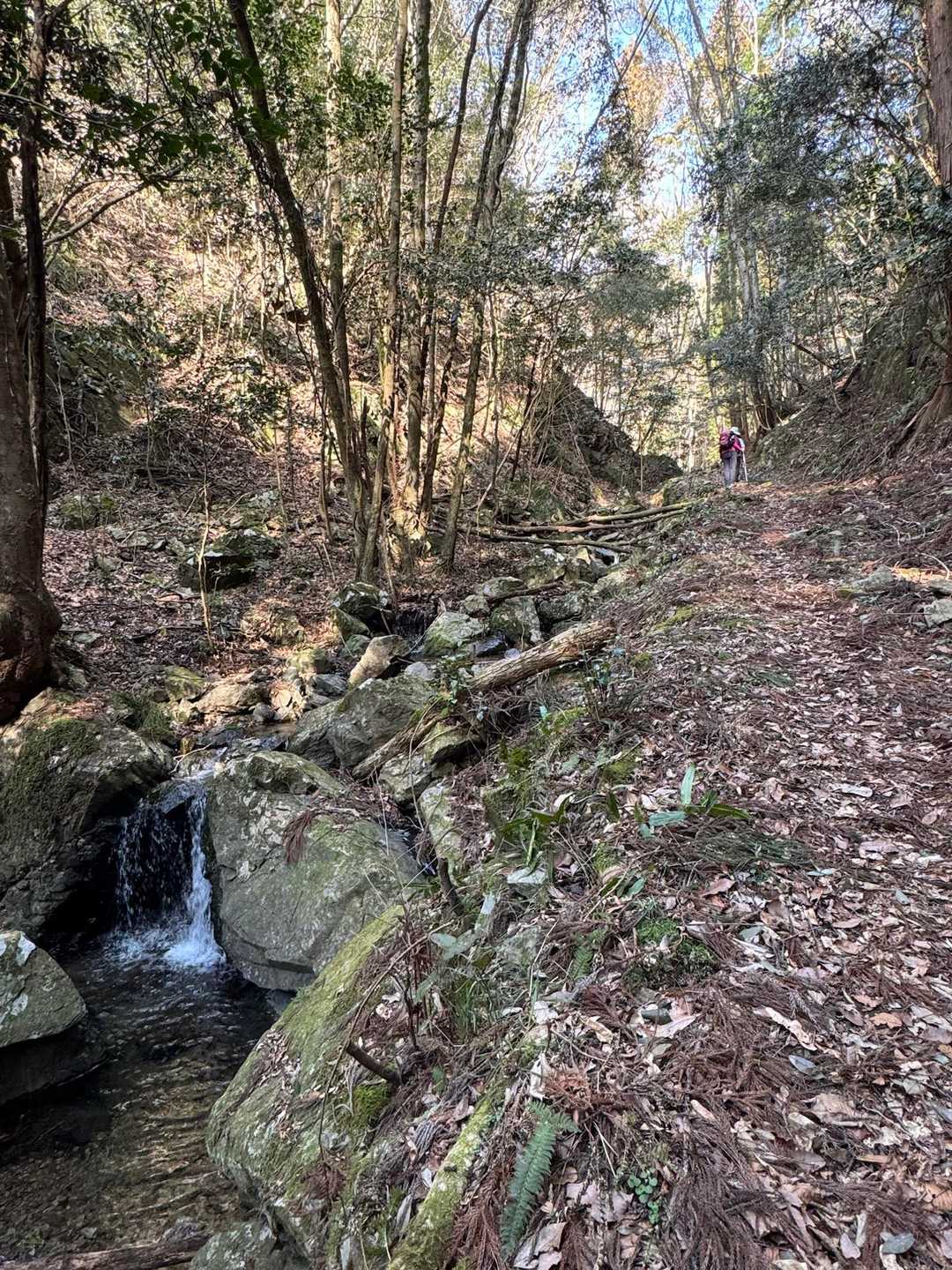 京ノ上山 往復コースの写真