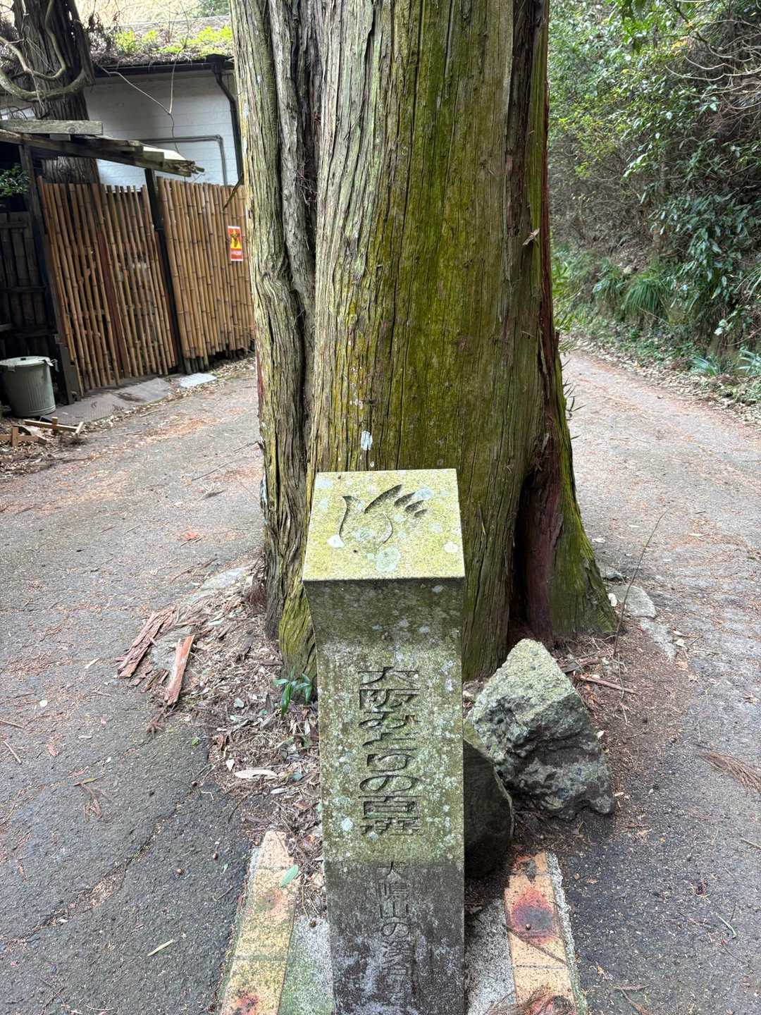 ここから犬鳴山の渓谷！