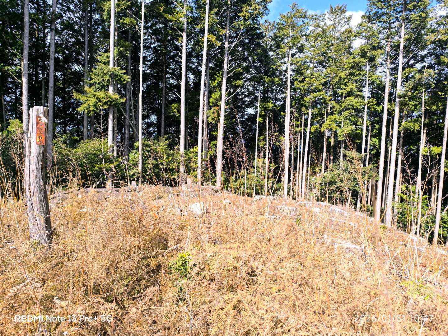 山頂、看板なしですが