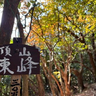 頂山東峰
紅葉🍁が残ってました