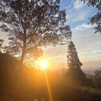 素敵なマジックアワーでした🌄

さて、仕事頑張ってきます

皆さまも良き一日で
ありますように😊