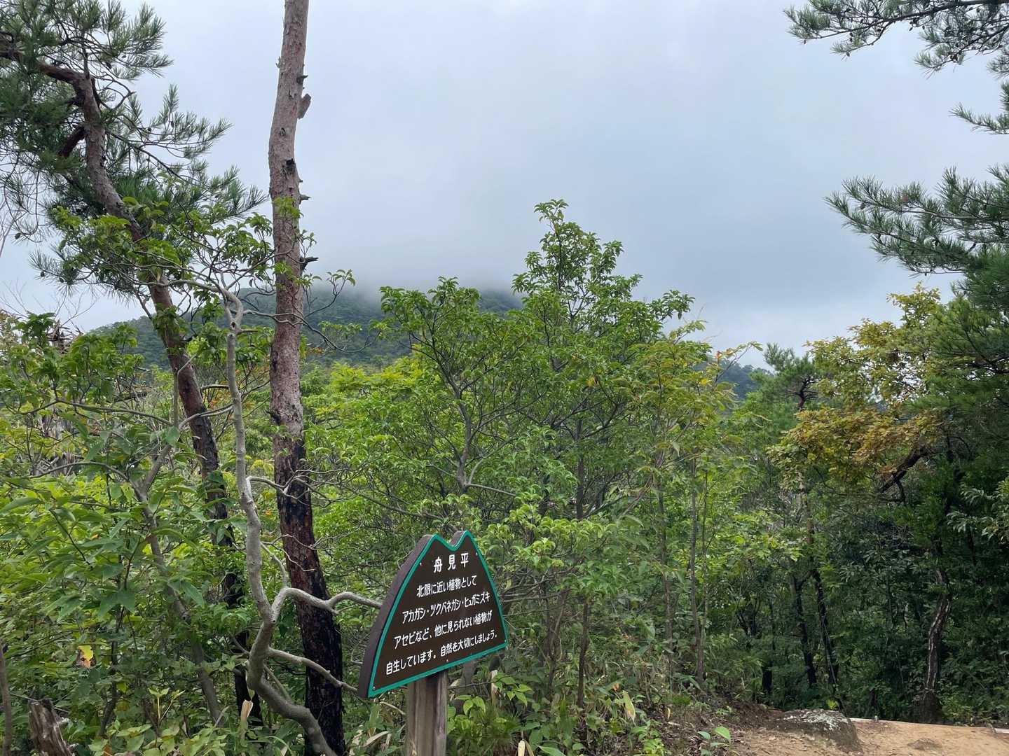 山頂にはしっかり雲がある☁️