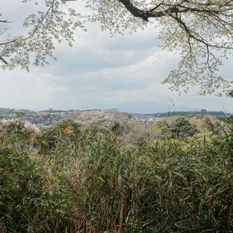 富士山眺望の場所から
今日は富士山は見えませんでした