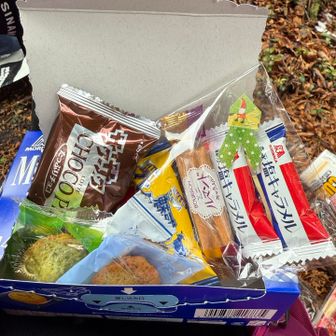 ここでランチ🍙いっぱいオヤツ貰った🥰けど
ポツポツ雨が降ってきて、急いで下山🚶‍♀️