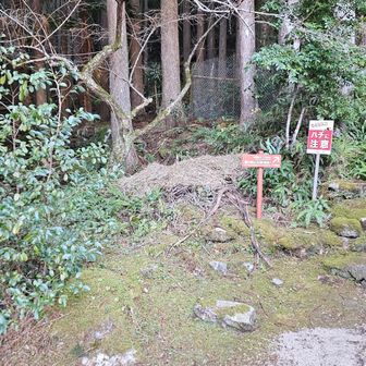 南ルート口に下りてきた。