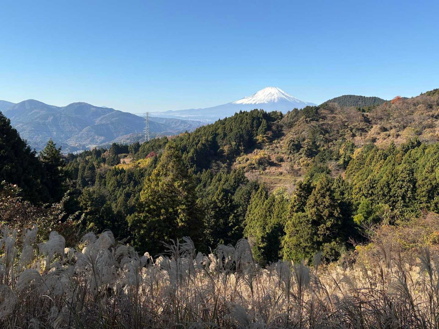 尺里峠-高松山 往復コースの写真