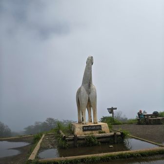 陣馬山