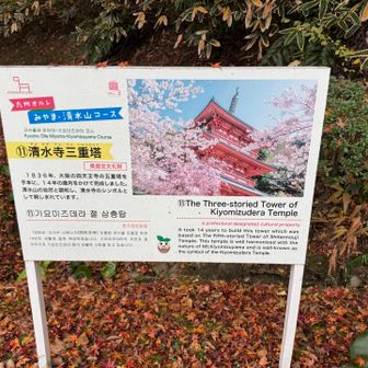 春にもきてみたいか