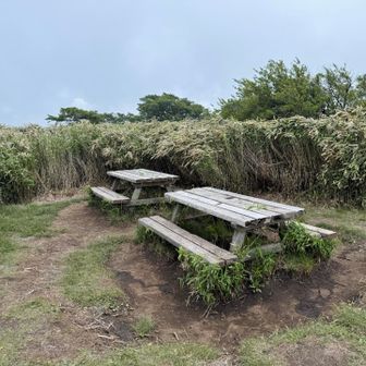 山頂のベンチ