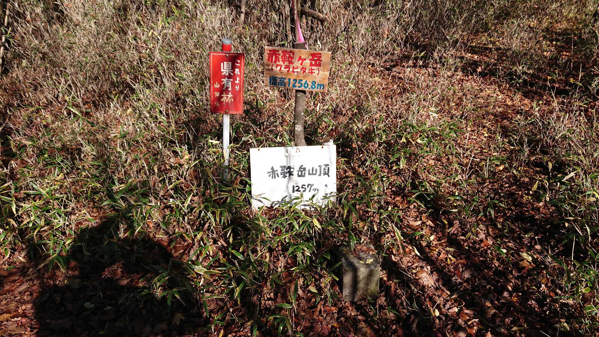 赤鞍岳（ワラビタタキ）山頂に到着しました😃💦