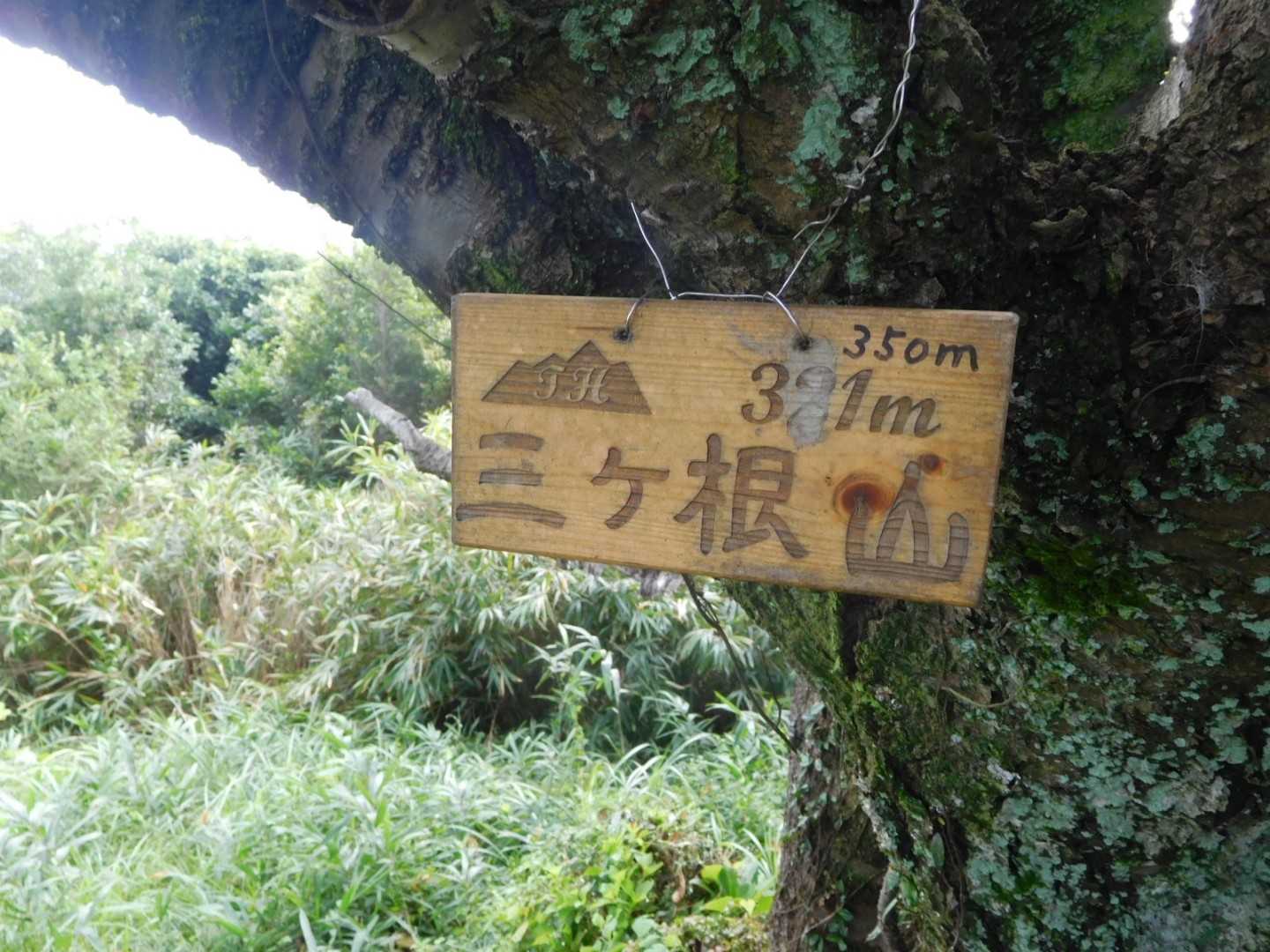 三ヶ根山最高点か？