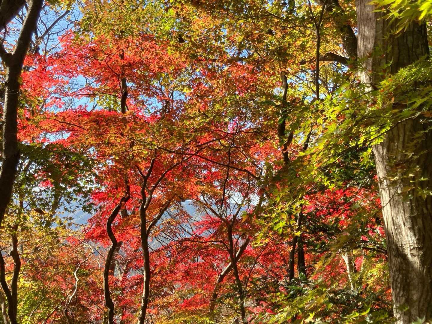 立神山-生瀬滝上-男体山・月居山登山口 縦走コースの写真