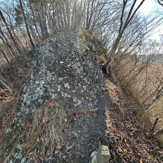 鍋足山方面に折り返しています。この砂利を固めたような岩は、奥久慈名物です⁉️