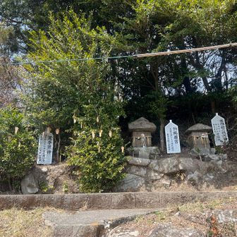 蜂が飛んでて近寄れませんでした
ハチこわい